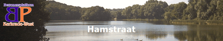 Hamstraat